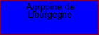 Agrppine de Bourgogne