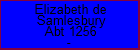 Elizabeth de Samlesbury
